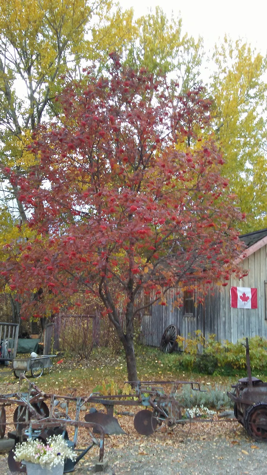 South Similkameen Museum | 604 6 Ave, Keremeos, BC V0X 1N5, Canada