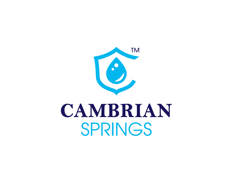 Cambrian Springs Inc | 212 Limestone Crescent, Toronto, ON M3J 2S4, Canada | Phone: (416) 855-3636