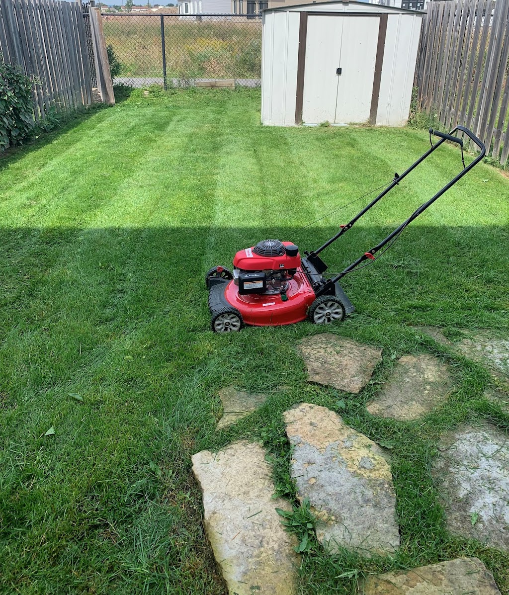 Ashdown Lawn Care | Arrowgrass Way, Orléans, ON K4A 0C7, Canada | Phone: (613) 218-2490