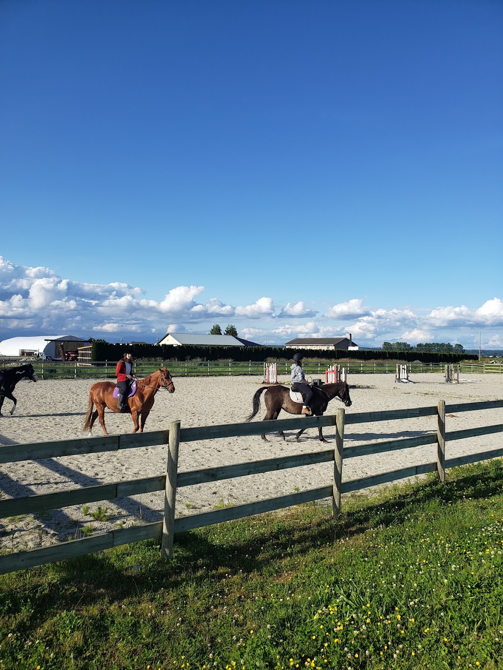 Pony Pals Therapeutic Riding Assn | 3885 96 St, Delta, BC V4K 3N3, Canada | Phone: (604) 590-0097