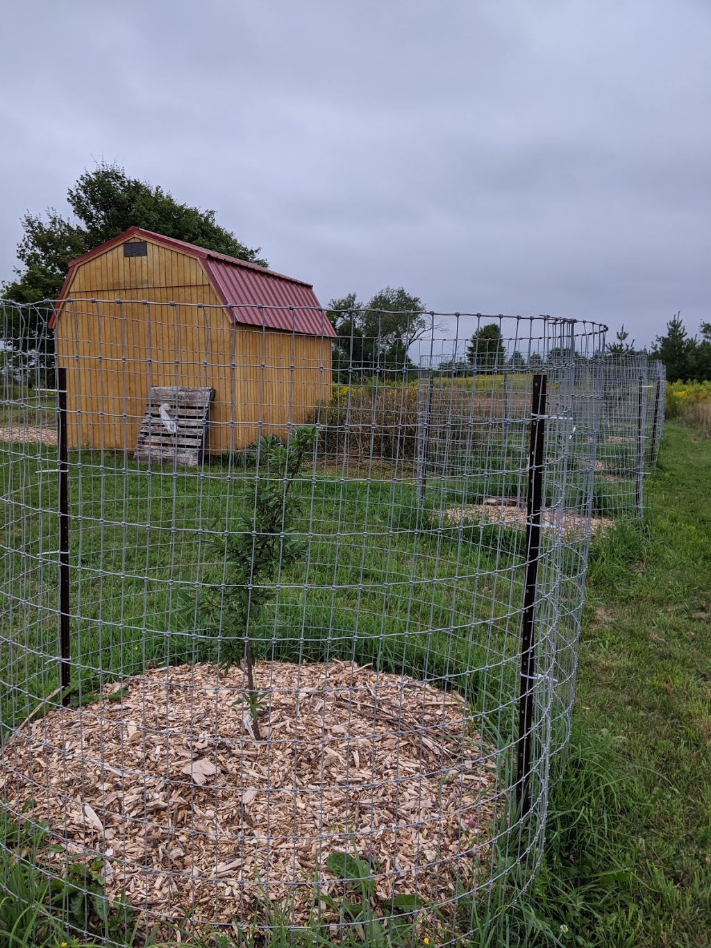 BTE Permaculture Garden of Guelph | 5420 ON-6, Guelph, ON N1H 6J2, Canada | Phone: (519) 803-8808