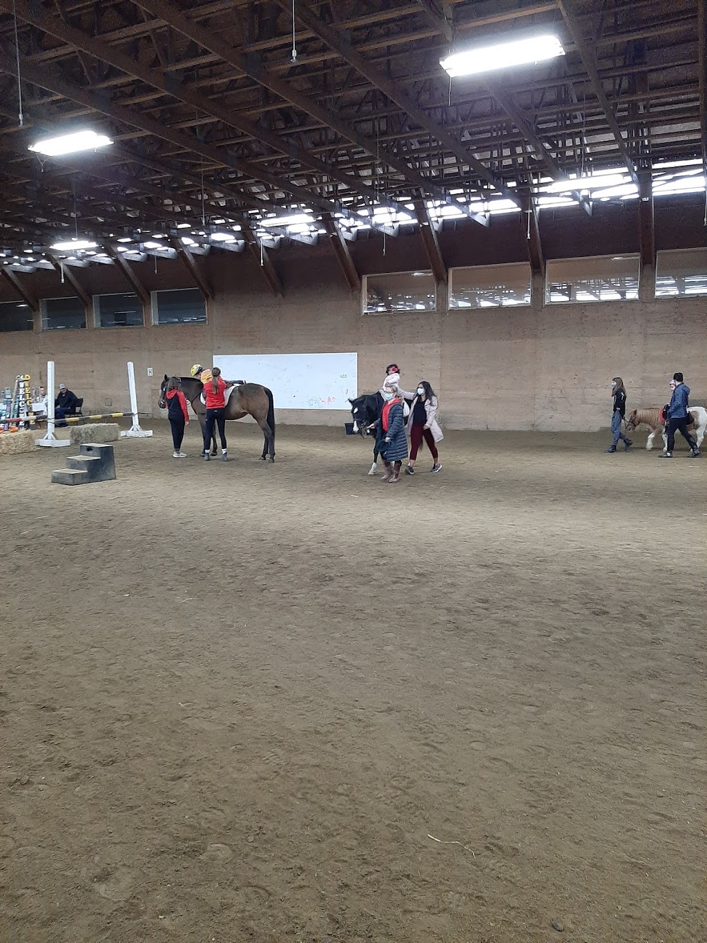 A & T Equestrian Centre | 4615 190 St, Surrey, BC V3Z 1B2, Canada | Phone: (604) 574-3211