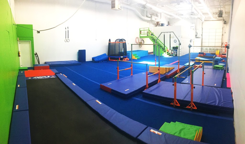 LeapFrog Gymnastics | 1564 Booth Ave, Coquitlam, BC V3K 1B9, Canada | Phone: (604) 528-9988