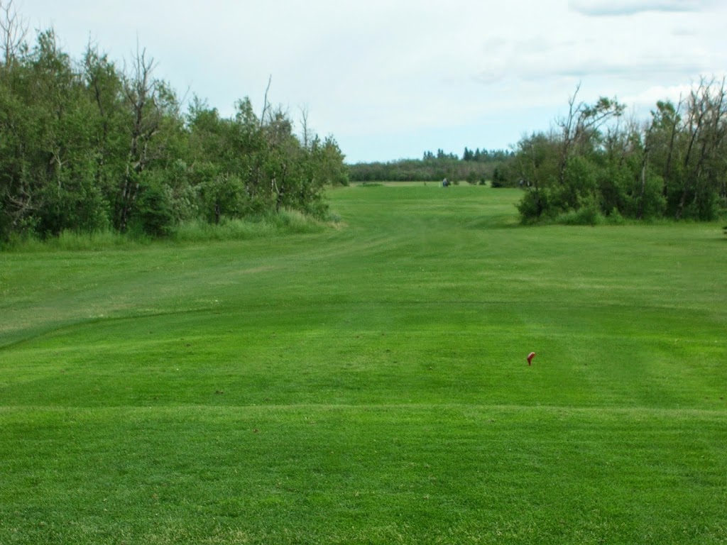 Tofield Golf Course | 19110 AB-14, Tofield, AB T0B 4J0, Canada | Phone: (780) 662-3457