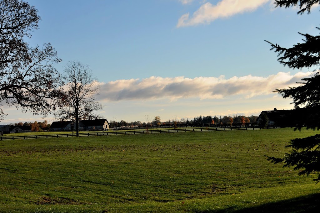 Chris Delia Stables | 6391 Walkers Line, Burlington, ON L7M 0P7, Canada | Phone: (905) 467-0550