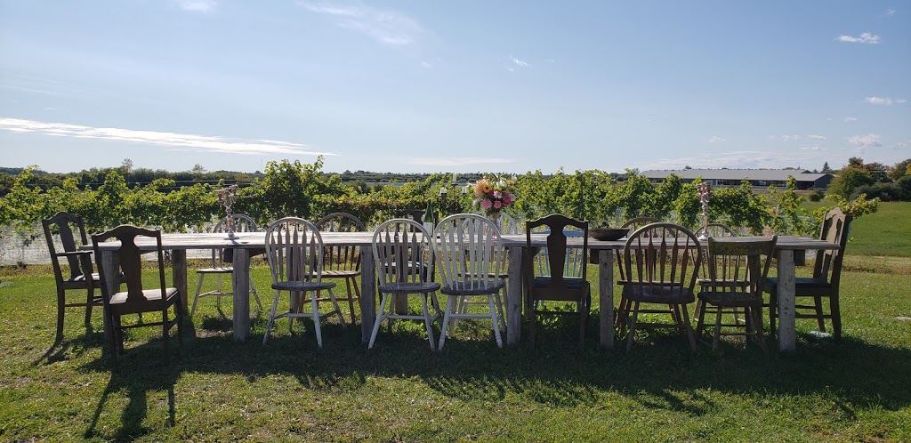 Cold Creek Vineyards | 1521 Danforth Rd, Wellington, ON K0K 3L0, Canada | Phone: (905) 999-4646