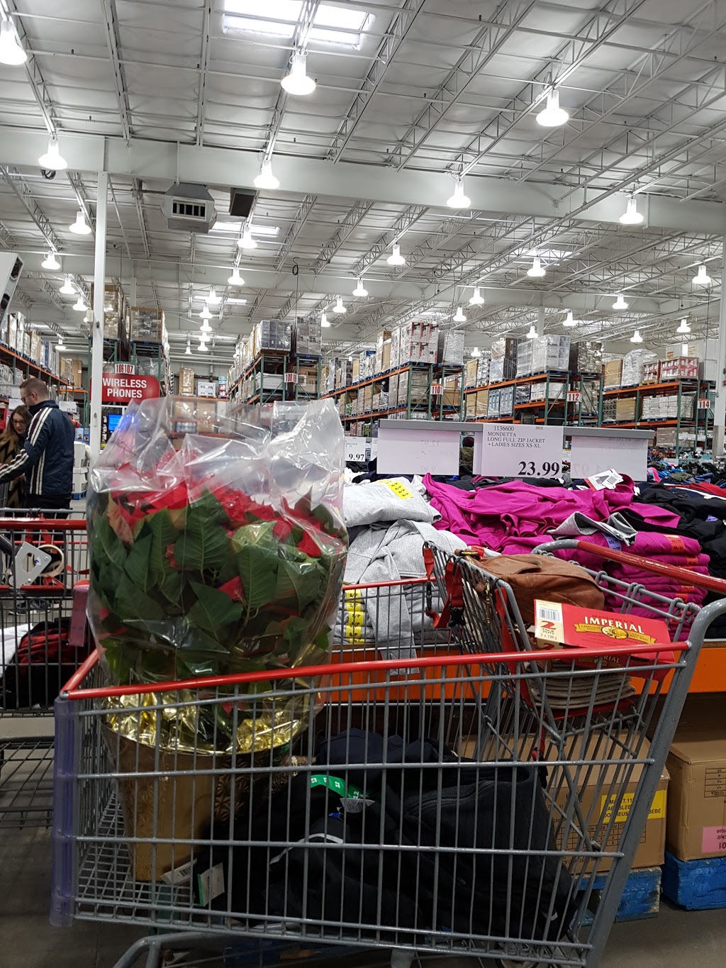 Costco Wholesale | 12450 149 St NW, Edmonton, AB T5V 1G9, Canada | Phone: (780) 455-7575