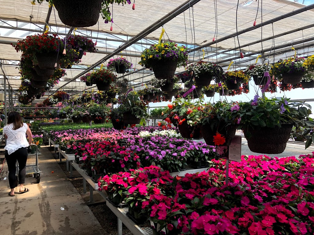 Arnold’s Greenhouse | Halton Hills, ON, Canada