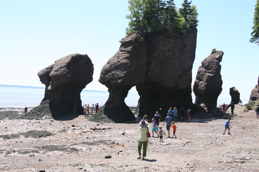 Fundys Cape Enrage | 30 Old Great Rd, Hopewell Cape, NB E4H 3H5, Canada | Phone: (506) 232-1057