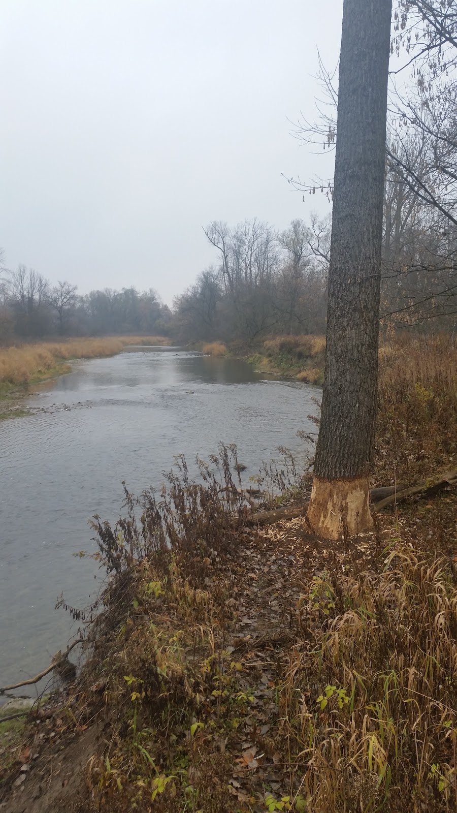 Pipers Glen Park | Unnamed Road, Ayr, ON N0B 1E0, Canada