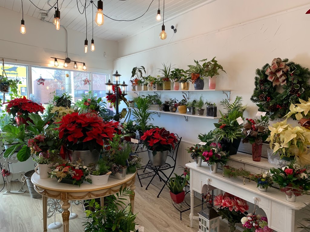 Lakefield Flowers & Gifts | 56 Queen St, Lakefield, ON K0L 2H0, Canada | Phone: (705) 652-6855