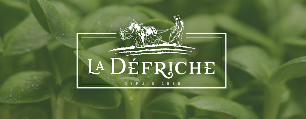 La Défriche | 131 Chem. du Lac Grosleau, Ripon, QC J0V 1V0, Canada | Phone: (819) 428-3940