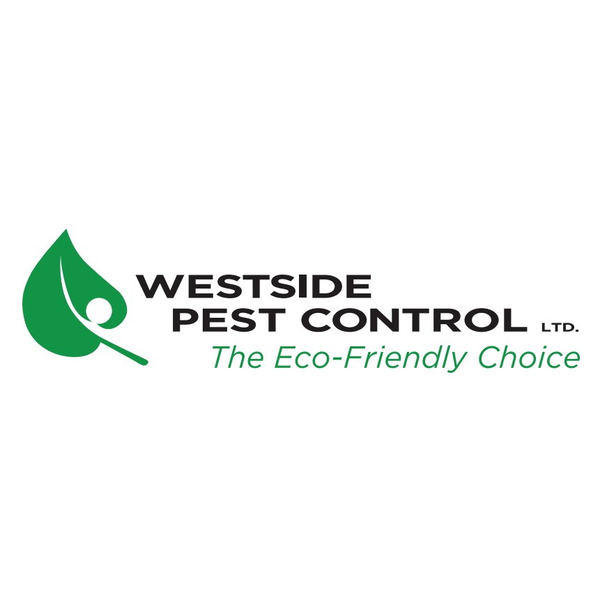 Westside Pest Control Coquitlam | 1-120 Glacier St, Coquitlam, BC V3V 3L6, Canada | Phone: (604) 498-0225