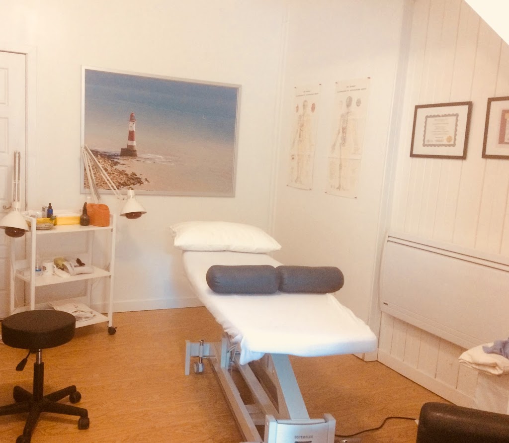 Acupuncture Segura | 1284 Rue Marie-Anne, Montréal, QC H2J 2C2, Canada | Phone: (514) 436-1325