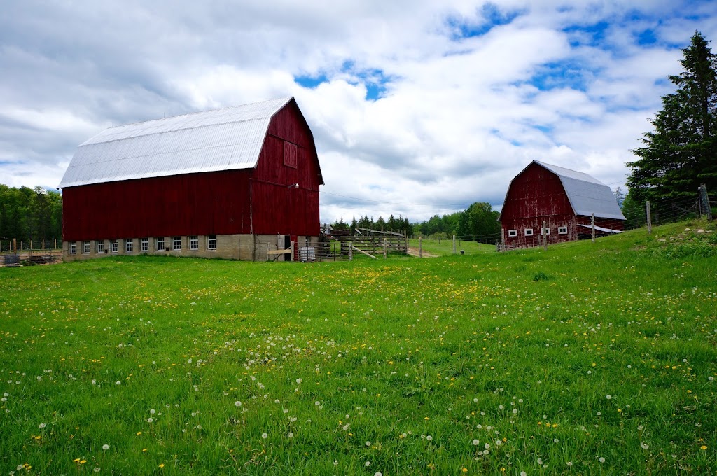 Ferme Leau du ruisseau | 291 Rte 105, Low, QC J0X 2C0, Canada | Phone: (613) 612-9348