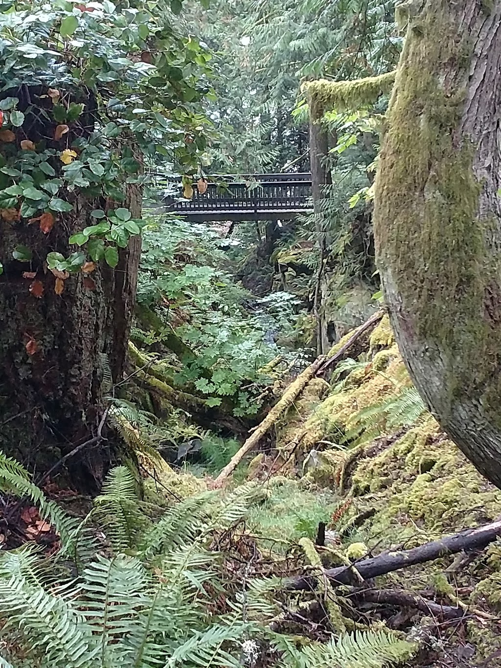 Manley Creek Park | Ratcliffe Rd, Cobble Hill, BC V0R 1L4, Canada