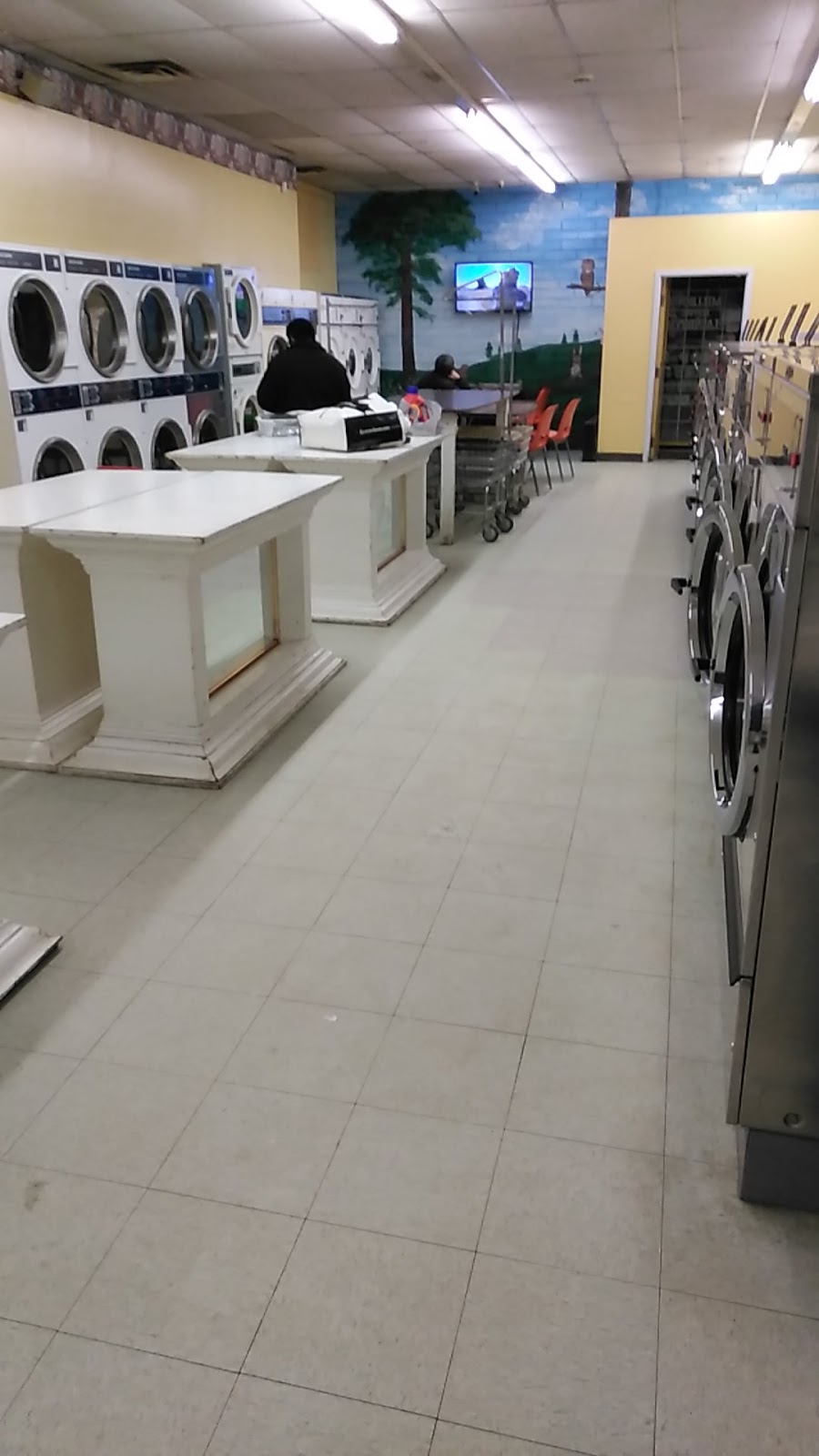 Millbourne Laundromat | 109 Millbourne Rd E Northwest, Edmonton, AB T6K 1P6, Canada | Phone: (780) 450-1058