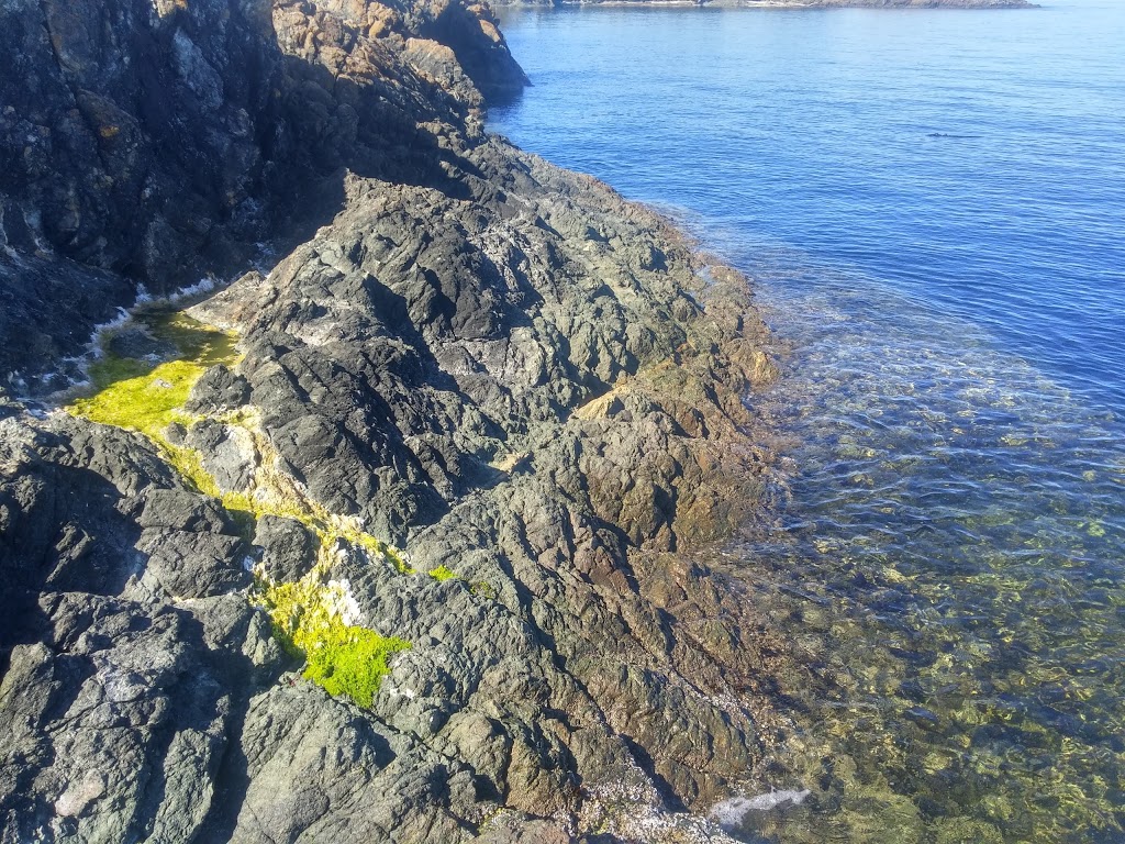 Gordon Head North Park | 3Y6, Gordon Head Rd, Victoria, BC V8N 3V1, Canada