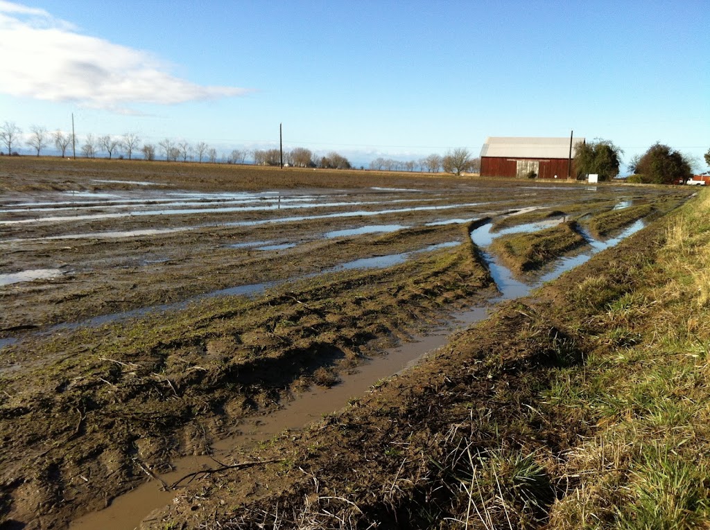 Upland Agricultural Consulting Ltd | 5688 Upland Rd, Sechelt, BC V0N 3A4, Canada | Phone: (778) 999-2149