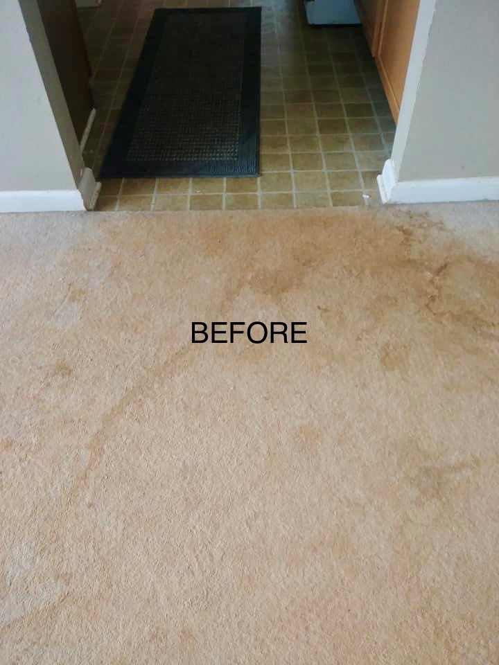 CR Carpet Cleaning | 31703 Charlotte Ave, Abbotsford, BC V2T 3Z6, Canada | Phone: (778) 536-2963