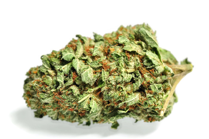 Candelivery Online Dispensary | 125 The Queensway #15363, Etobicoke, ON M8Y 0B4, Canada | Phone: (647) 631-1704