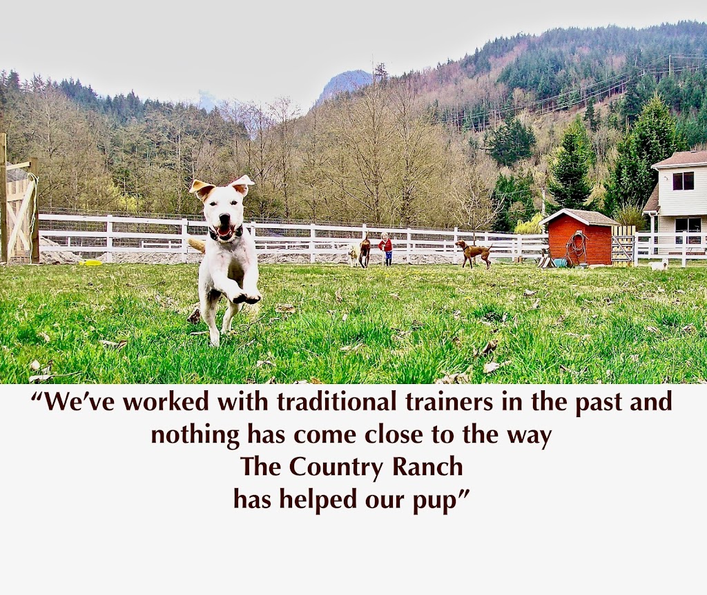 Country Ranch Dog Boarding and Training | 1032 Finch Dr, Squamish, BC V8B 0A4, Canada | Phone: (604) 849-0620