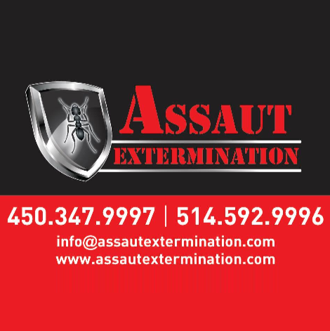 Assaut Extermination | 39 Rue Anatole-Touchette, Saint-Jean-sur-Richelieu, QC J2X 4L5, Canada | Phone: (514) 592-9996