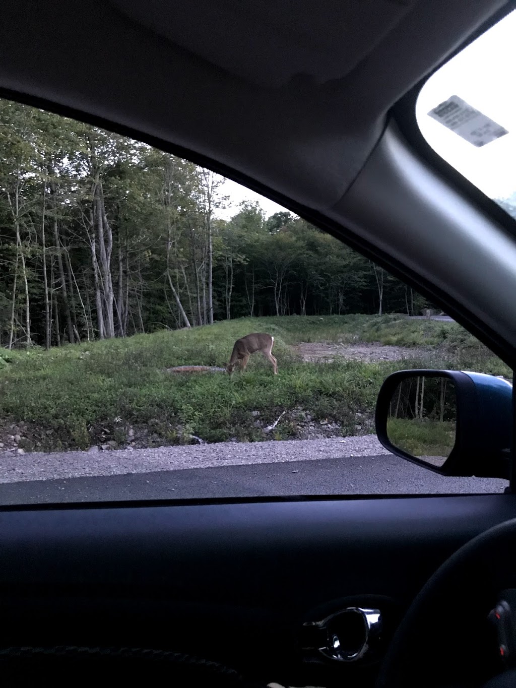 Parc de lAlizé | Saint-Colomban, QC J5K 1J9, Canada