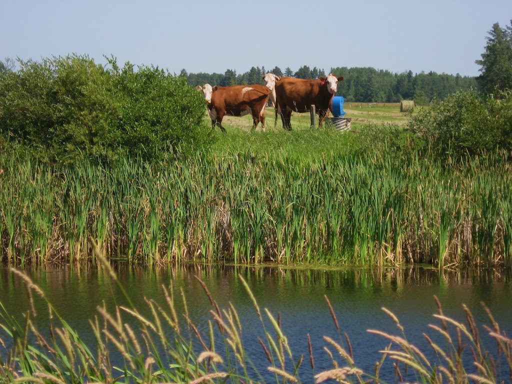 Frostfree Nosepumps Ltd. | 420050 Simpson Rd, Rimbey, AB T0C 2J0, Canada | Phone: (866) 843-6744