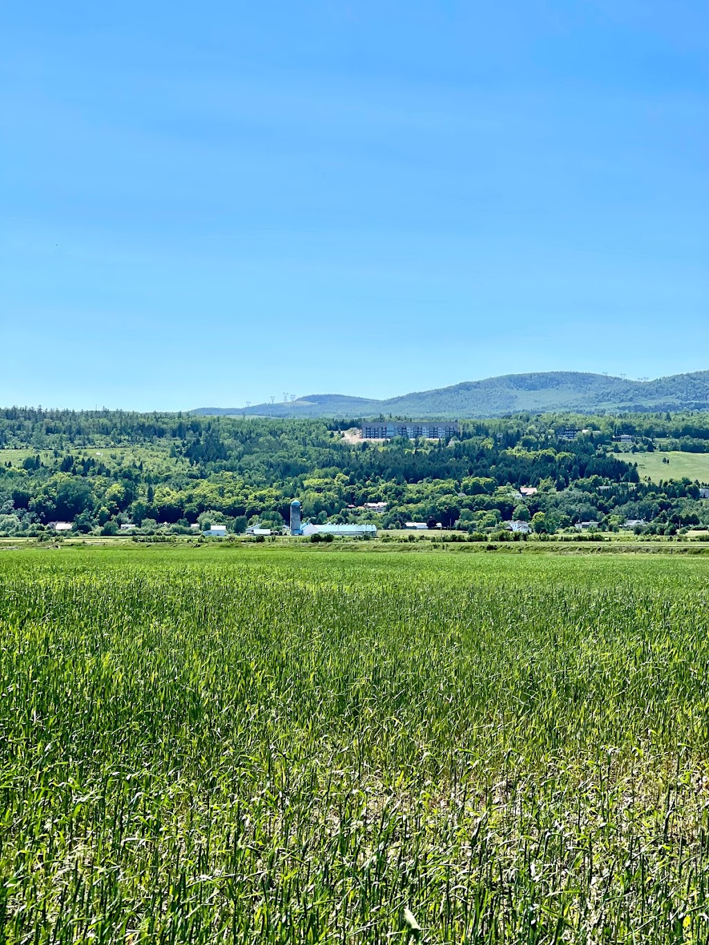 Ferme LOiseau Bleu | 175 Rue Ambroise Fafard, Baie-Saint-Paul, QC G3Z 2K1, Canada | Phone: (418) 435-2483