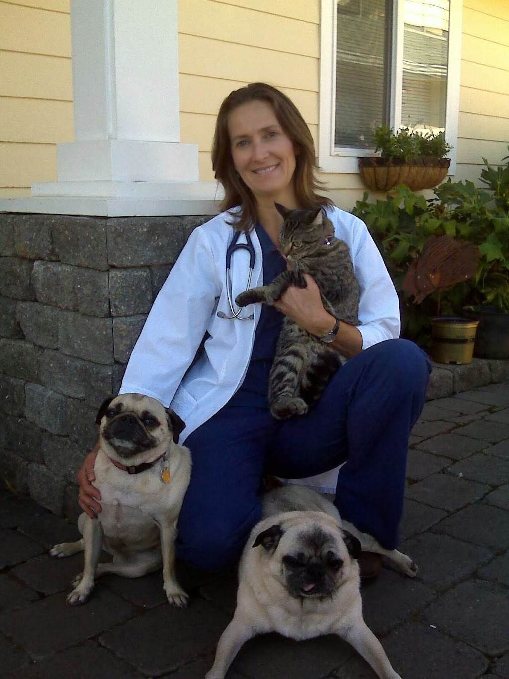 Islands Veterinary Clinic | 850 Mullis St, Friday Harbor, WA 98250, USA | Phone: (360) 378-2333