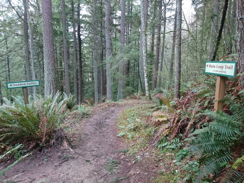 Stimpson Family Nature Reserve Access Trail | 9-11 White Mountain Lane, Bellingham, WA 98229, USA