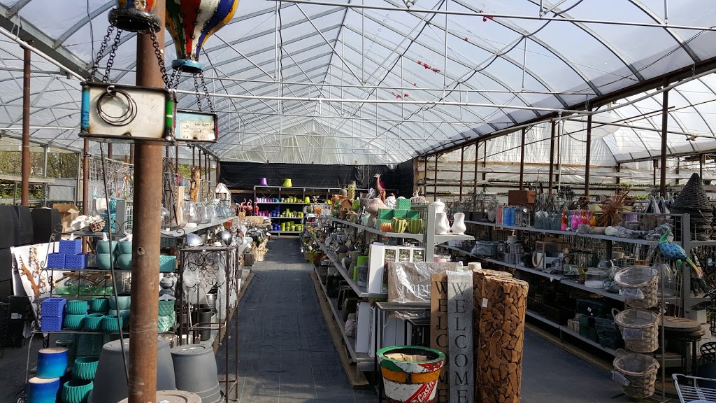 BMR Greenhouses & Water gardens | 24176 Township Road 500, Leduc County, AB T4X 0R1, Canada | Phone: (780) 986-0787