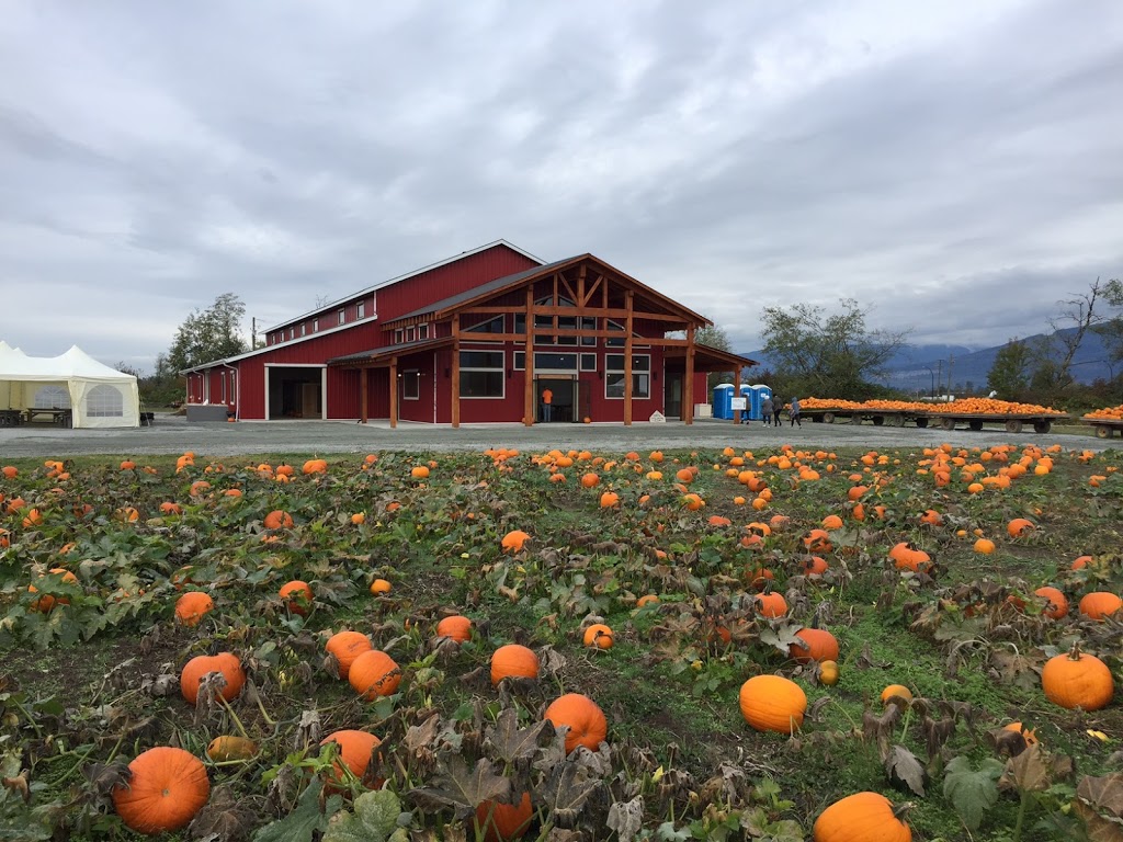 Laity Pumpkin Patch - South | 12725 Laity St, Maple Ridge, BC V4R 2P2, Canada | Phone: (604) 380-1615