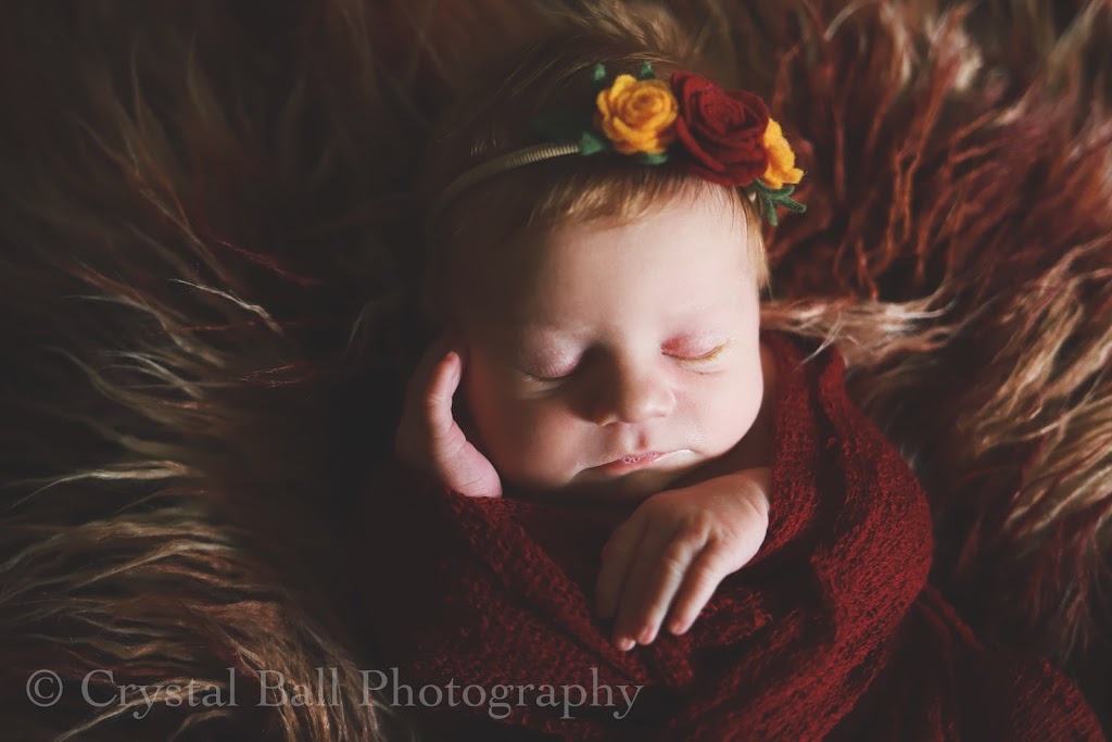 Crystal Ball Photography {Canada} | 6 Stoney Ct, Tillsonburg, ON N4G 4R7, Canada | Phone: (519) 868-5371