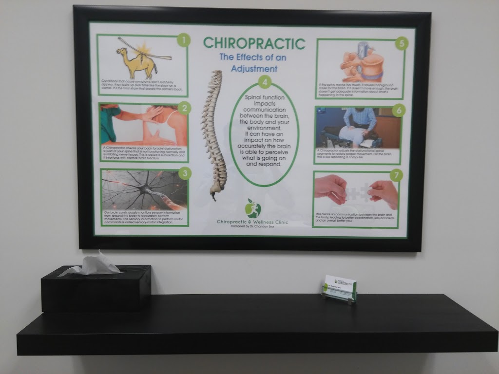 Activate Chiropractic Wellness Clinic Dr Stephani Dunk & Dr Larry Ha Chu | 1200E Prince of Wales Dr, Ottawa, ON K2C 3Y4, Canada | Phone: (613) 226-9800