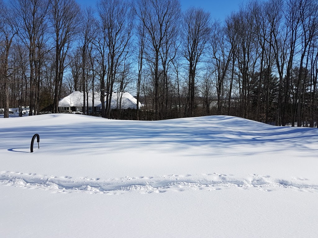 Far Horizons Luxury Vacation Home, Montebello, Quebec | 388 Chemin Braulière, Montebello, QC J0V 1L0, Canada | Phone: (613) 489-1081