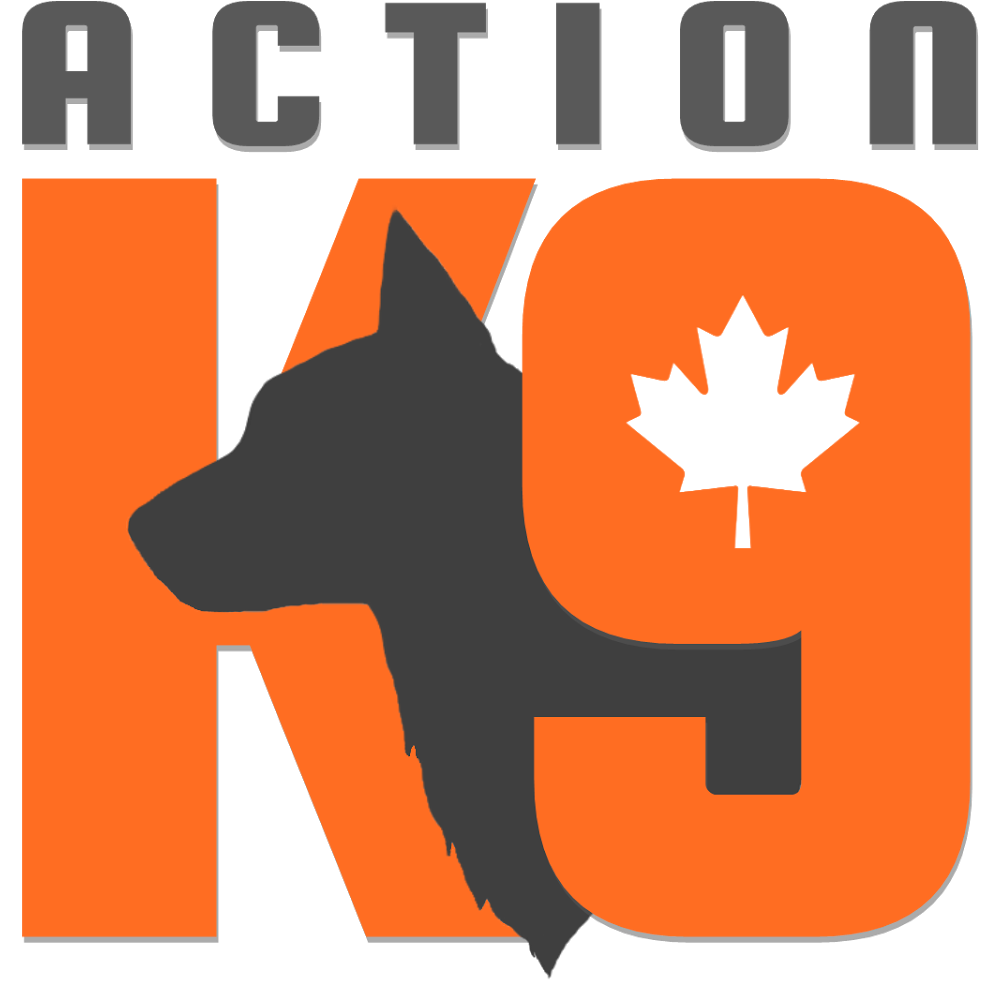 Action K9 Services - Dog Training | 25700 116 Ave, Maple Ridge, BC V4R 1Z6, Canada | Phone: (604) 722-3079