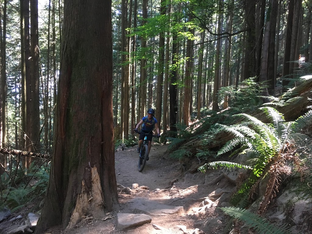 Baden Powell Trail | Baden Powell Trail, North Vancouver, BC V7R 4X4, Canada