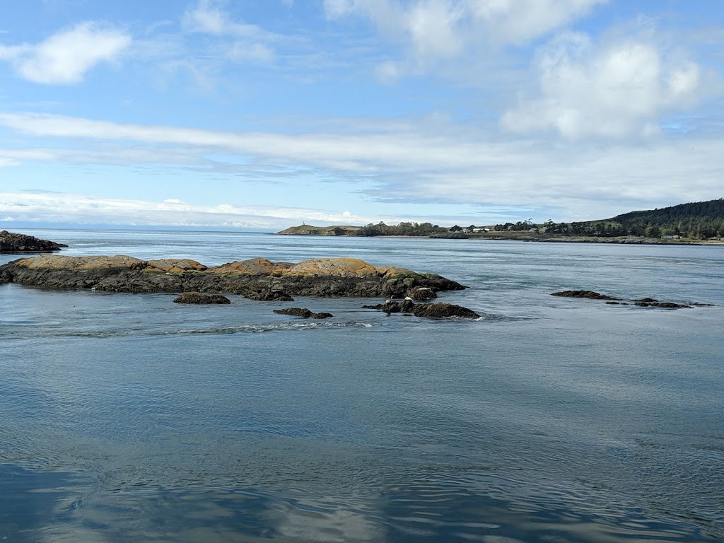 Shark Reef Nature Trail | 1752-1998 Shark Reef Rd, Lopez Island, WA 98261, USA