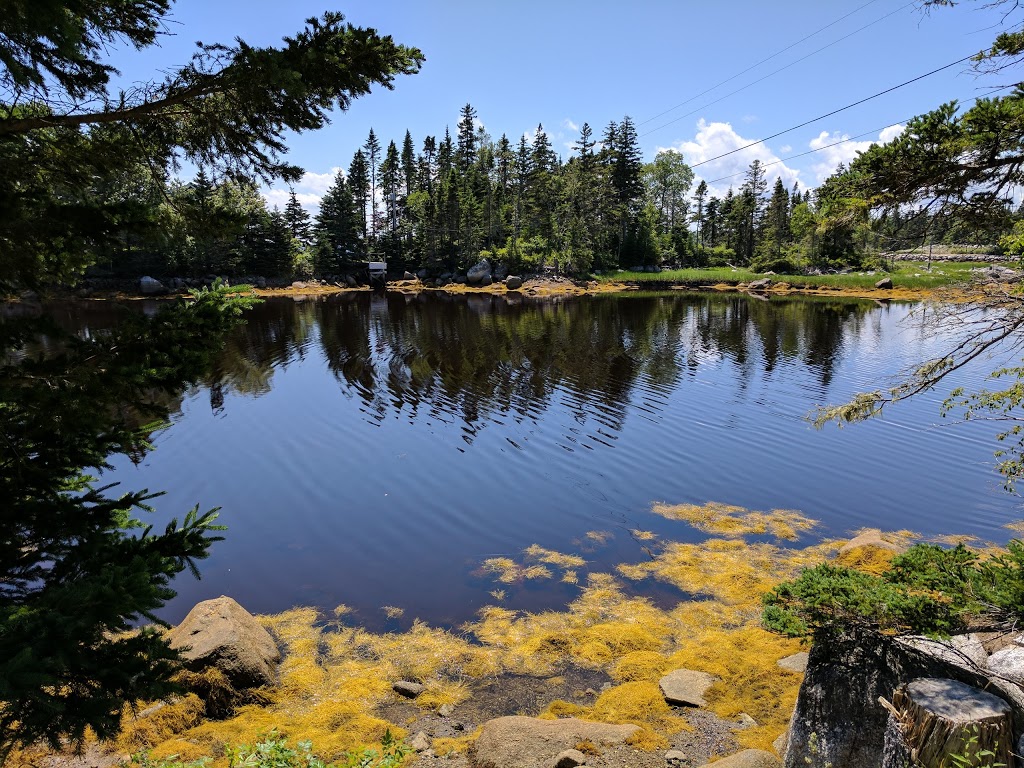 East River Provincial Park | 2177 Lighthouse Rte, Chester, NS B0J 1J0, Canada