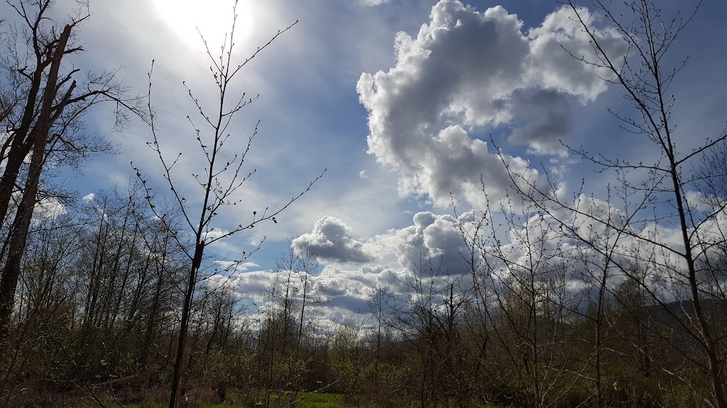 Great Blue Heron Nature Reserve | 5200 Sumas Prairie Rd, Chilliwack, BC V2R 4N7, Canada | Phone: (604) 823-6603