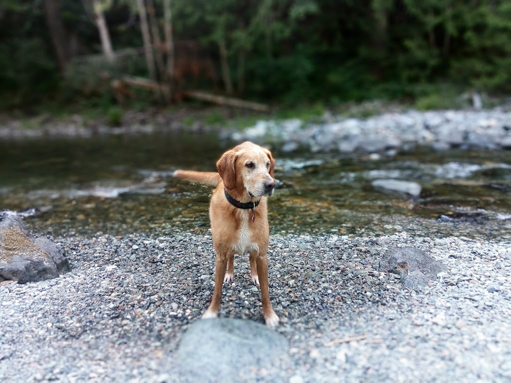 Sooke Potholes Campground | Sooke River Road, Sooke, BC V9A 3N6, Canada | Phone: (250) 360-3000