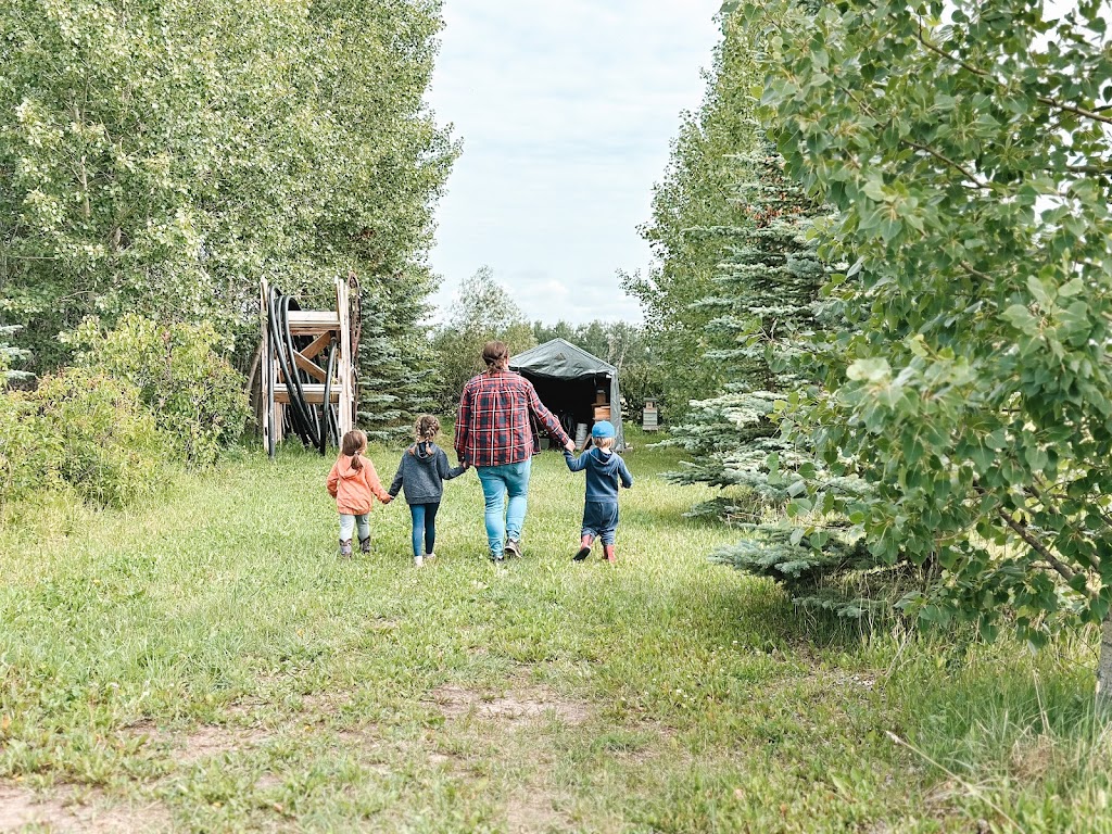 Gathered and Grown Family Farm | RR 3 Site 5, Rimbey, AB T0C 2J0, Canada | Phone: (403) 877-4031