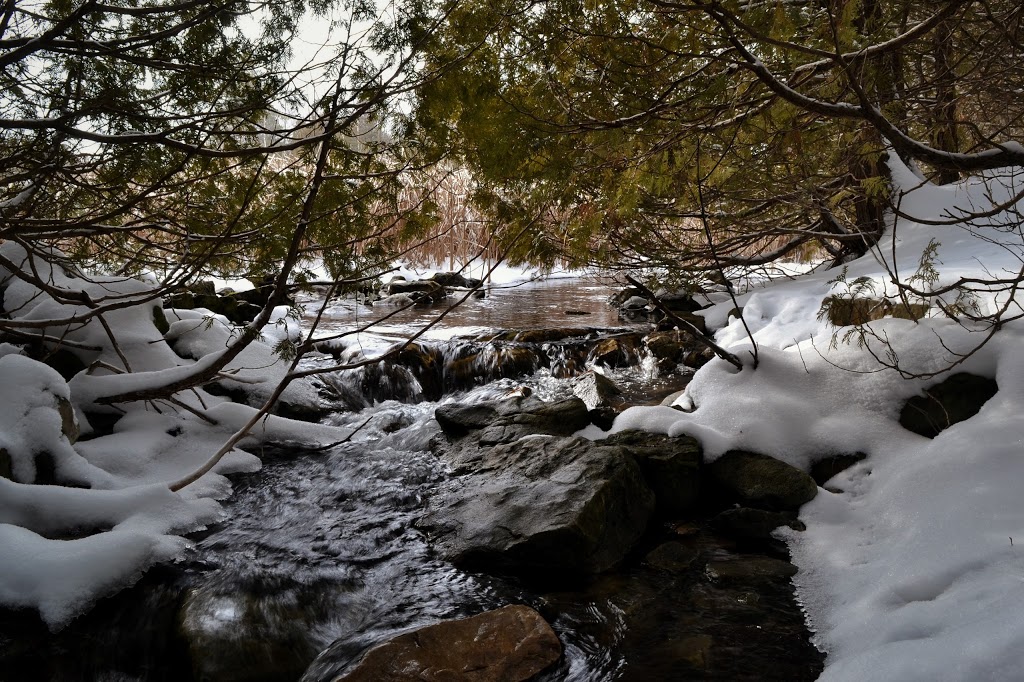 Fletcher Creek Ecological Preserve | Concession Rd 7, Puslinch, ON N0B 2J0, Canada