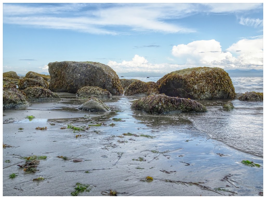 Icarus Park | Dover Community Association, Nanaimo, BC V9V 1B8, Canada | Phone: (250) 756-5200