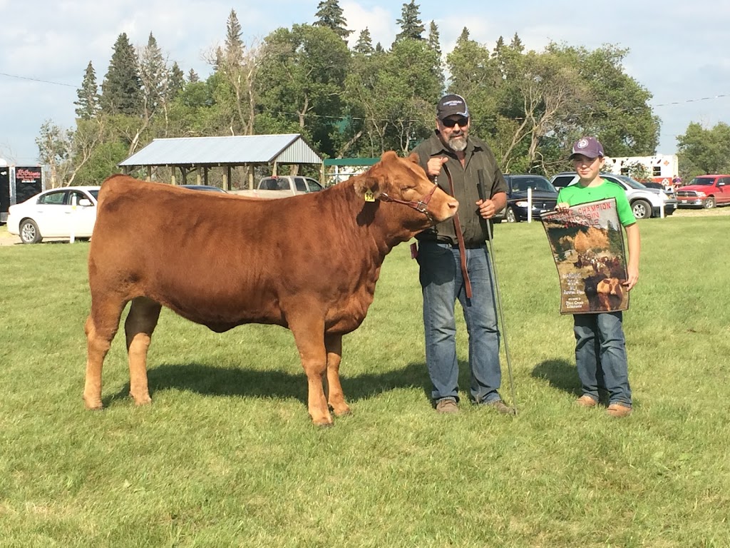 Triple *R* Limousin | 24C7+P6, Austin, MB R0H 0R0, Canada | Phone: (204) 856-3440