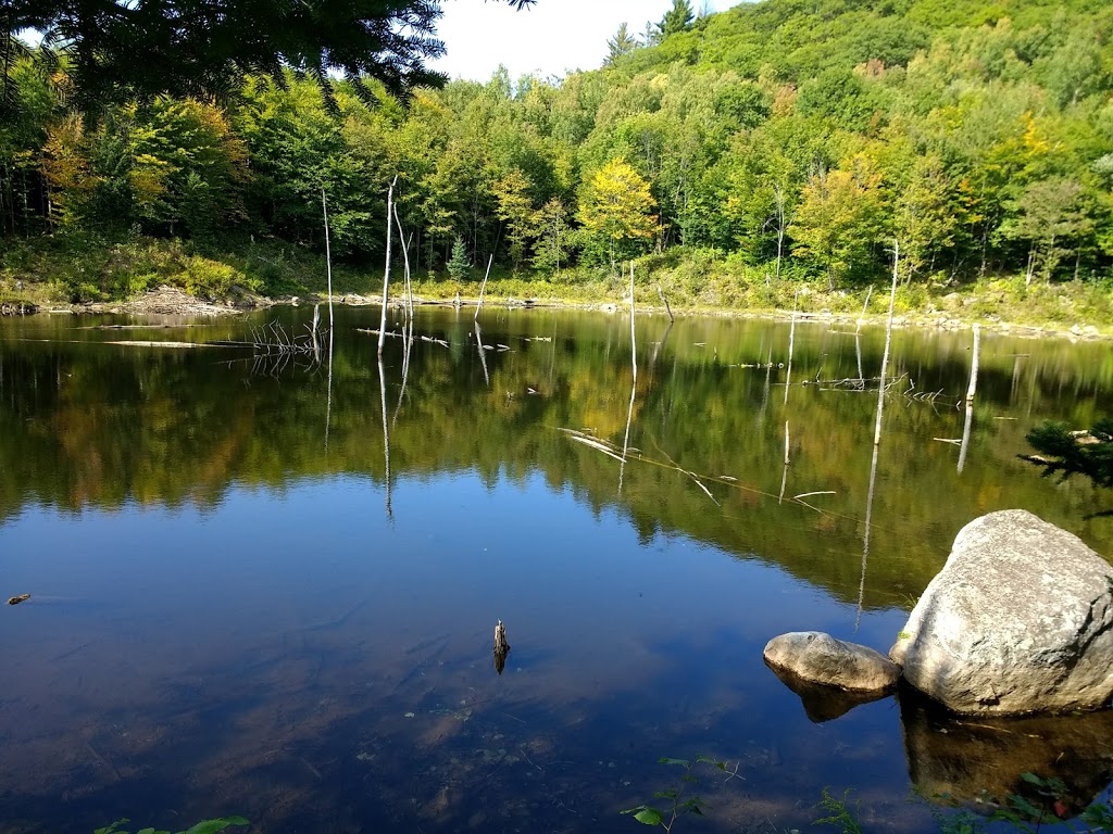 Parc-des-Falaises | 617-623 Chemin du Lac Morency, Saint-Hippolyte, QC J8A 2N3, Canada