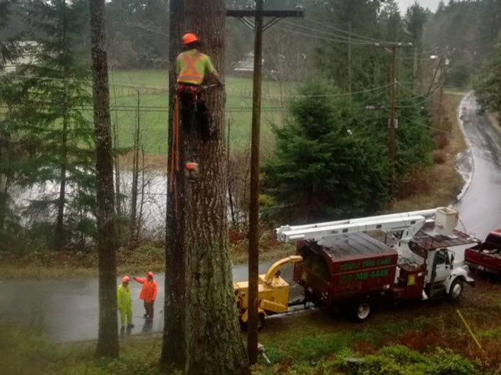 Libra Tree Services Ltd | 4945 Waters Rd, Duncan, BC V9L 6S9, Canada | Phone: (250) 748-4449