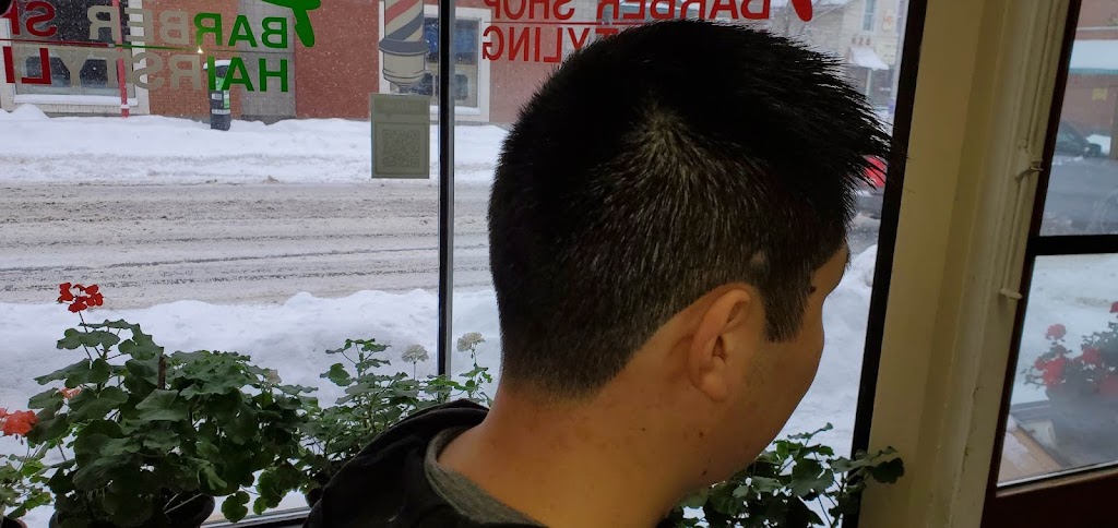 Professional Barber Shop | 617 Somerset St W, Ottawa, ON K1R 5K3, Canada | Phone: (613) 235-0322